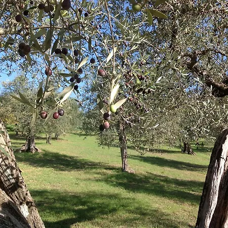 Charming With Pretty Garden Full Of Fruit Trees Farm stay *