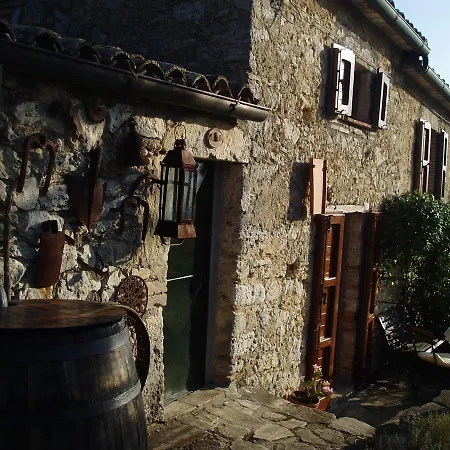 Charming With Pretty Garden Full Of Fruit Trees *